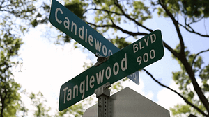 Tanglewood Blvd. in Houston, TX