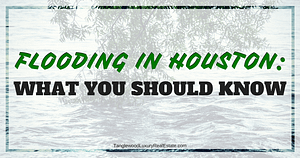 What You Should Know About Flooding in Houston