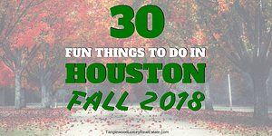 30 Fun Things To Do In Houston This Fall