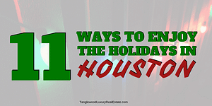 Things To Do In Houston Over The Holidays