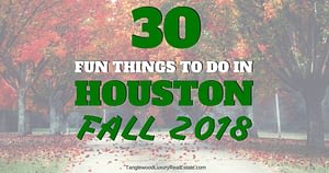 30 Fun Things To Do In Houston This Fall