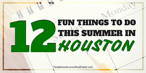 Things To Do In Houston This Summer